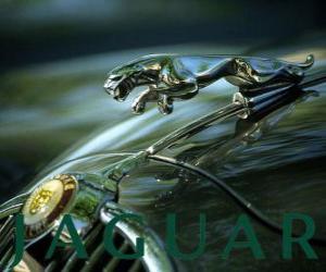 yapboz Jaguar logo, lüks arabalar ve spor araba İngiliz markası